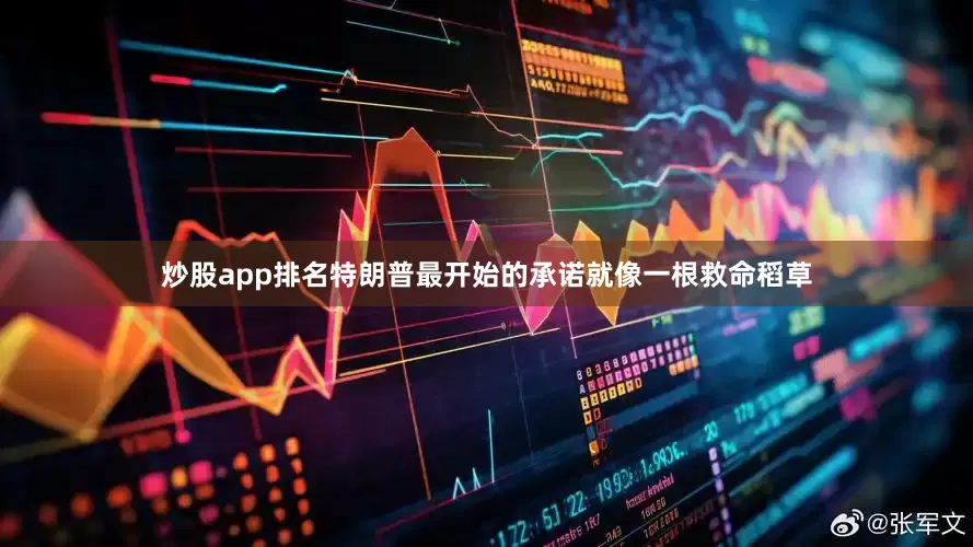 炒股app排名特朗普最开始的承诺就像一根救命稻草