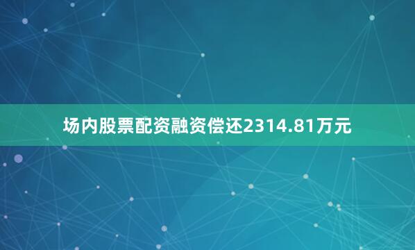 场内股票配资融资偿还2314.81万元