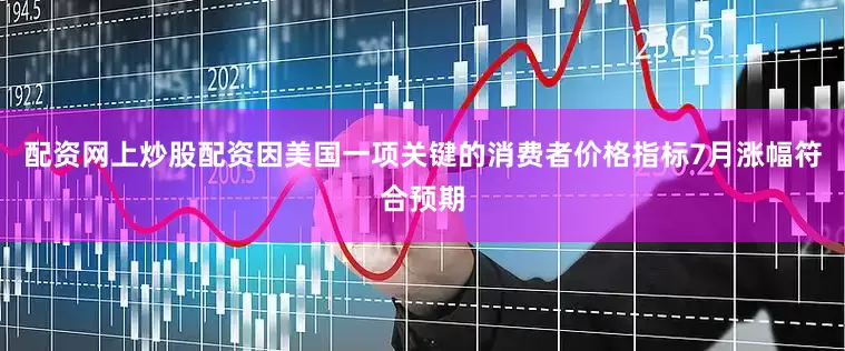 配资网上炒股配资因美国一项关键的消费者价格指标7月涨幅符合预期