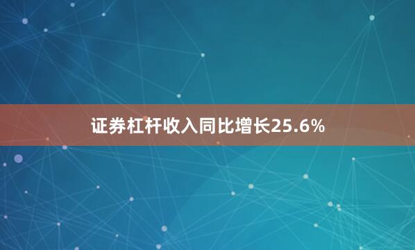 证券杠杆收入同比增长25.6%