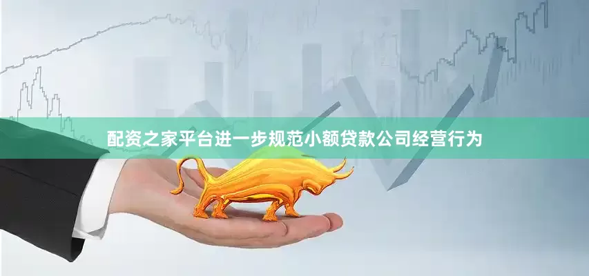 配资之家平台进一步规范小额贷款公司经营行为