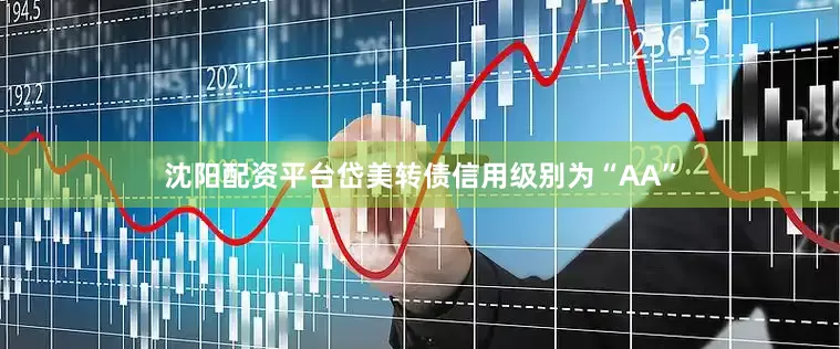 沈阳配资平台岱美转债信用级别为“AA”