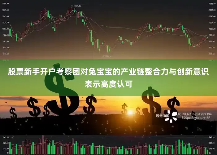 股票新手开户考察团对兔宝宝的产业链整合力与创新意识表示高度认可