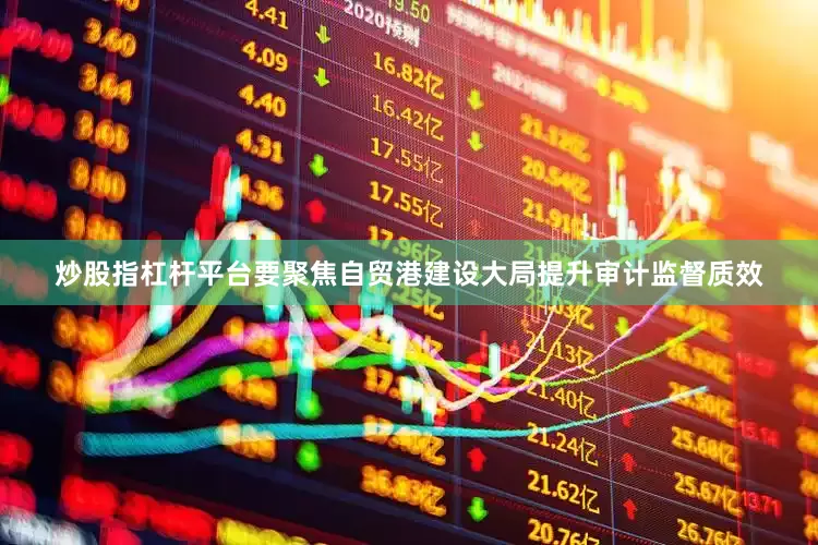 炒股指杠杆平台要聚焦自贸港建设大局提升审计监督质效